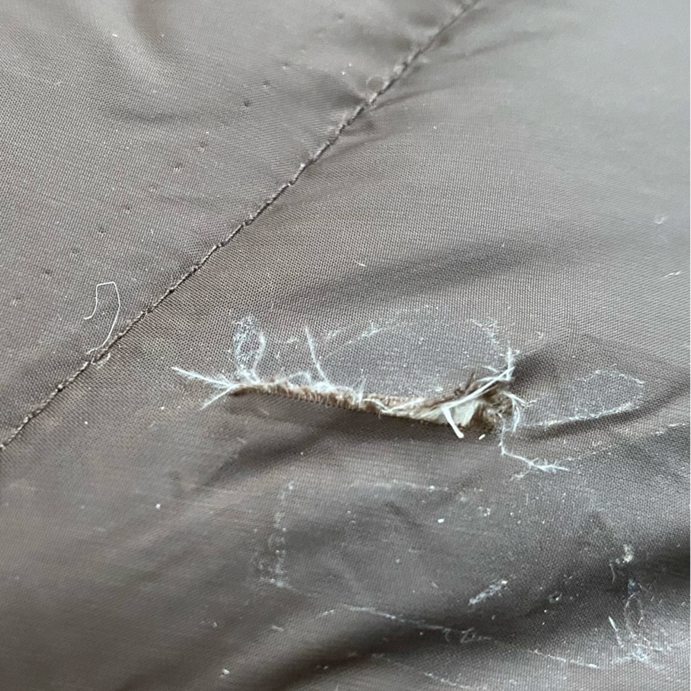 Small Firefly Puff Winter Jacket - Picture 5 of 6